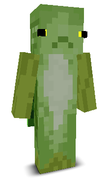 User's Minecraft appearance