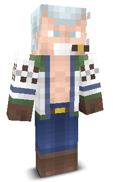 User's Minecraft appearance