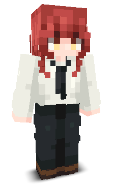 User's Minecraft appearance