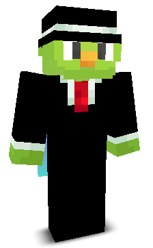 User's Minecraft appearance