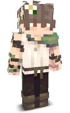 User's Minecraft appearance