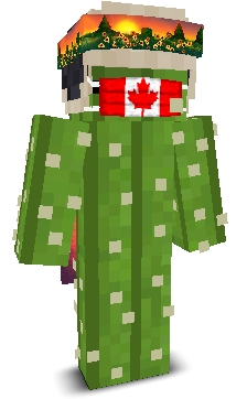 User's Minecraft appearance