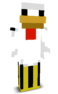 User's Minecraft appearance