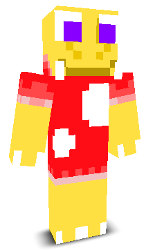 User's Minecraft appearance