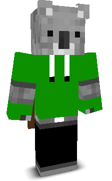 User's Minecraft appearance