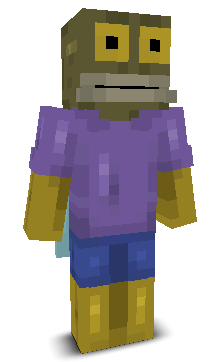 User's Minecraft appearance