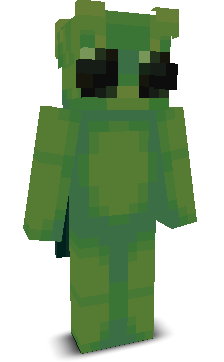 User's Minecraft appearance