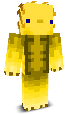 User's Minecraft appearance