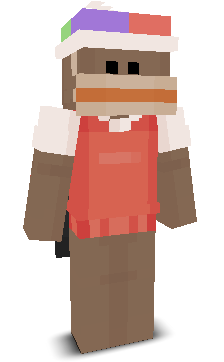 User's Minecraft appearance