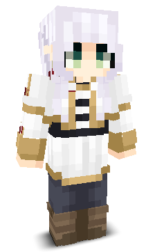 User's Minecraft appearance
