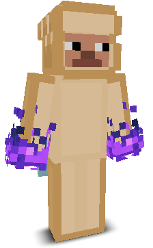 User's Minecraft appearance