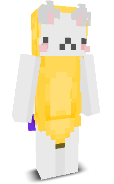 User's Minecraft appearance