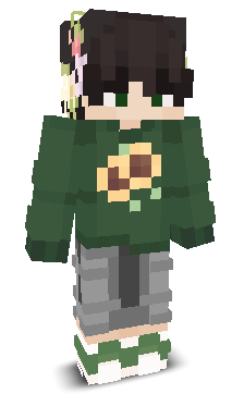 User's Minecraft appearance