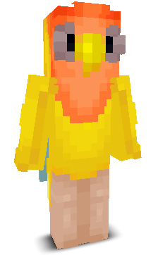 User's Minecraft appearance