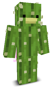 User's Minecraft appearance