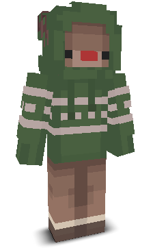 User's Minecraft appearance