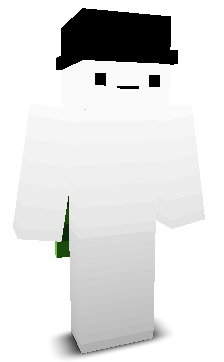 User's Minecraft appearance