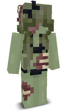 User's Minecraft appearance