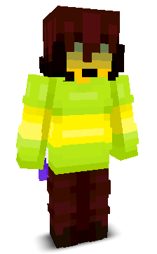 User's Minecraft appearance