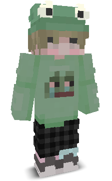 User's Minecraft appearance