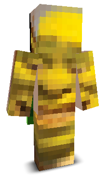 User's Minecraft appearance