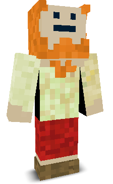 User's Minecraft appearance