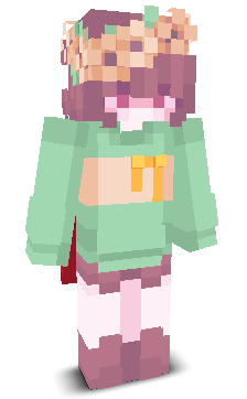 User's Minecraft appearance