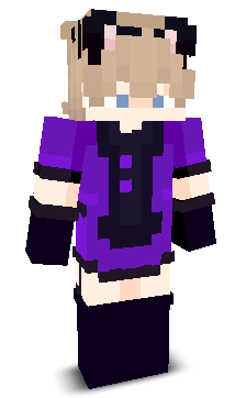 User's Minecraft appearance