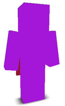 User's Minecraft appearance