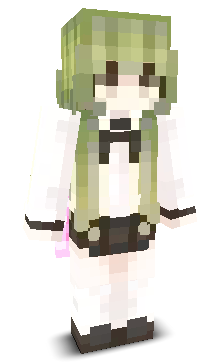User's Minecraft appearance