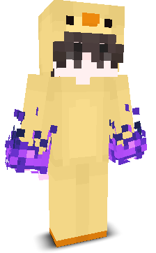 User's Minecraft appearance