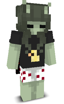 User's Minecraft appearance