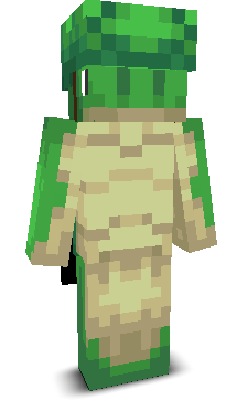 User's Minecraft appearance