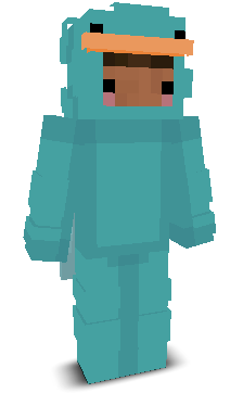 User's Minecraft appearance
