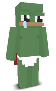 User's Minecraft appearance