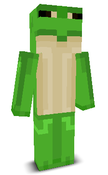 User's Minecraft appearance