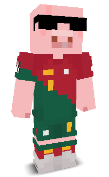 User's Minecraft appearance