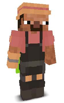User's Minecraft appearance