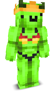 User's Minecraft appearance