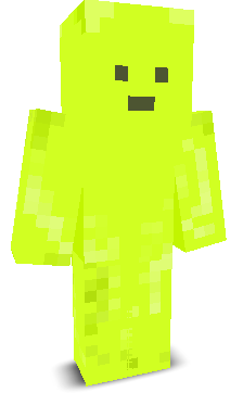 User's Minecraft appearance