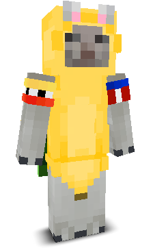 User's Minecraft appearance