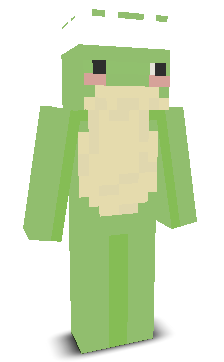 User's Minecraft appearance