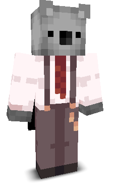 User's Minecraft appearance
