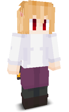 User's Minecraft appearance