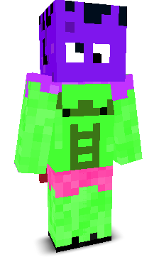 User's Minecraft appearance