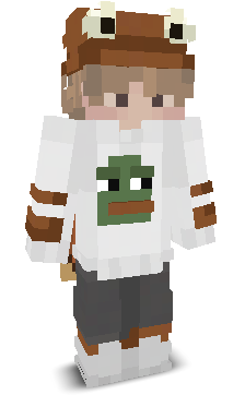 User's Minecraft appearance