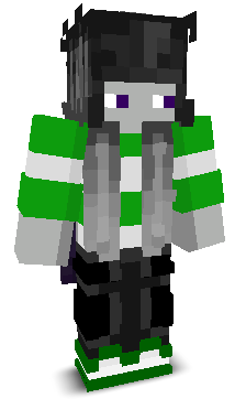 User's Minecraft appearance