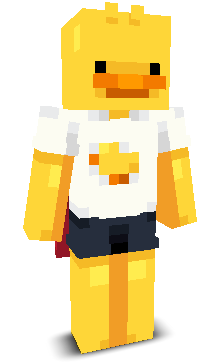 User's Minecraft appearance