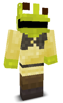 User's Minecraft appearance