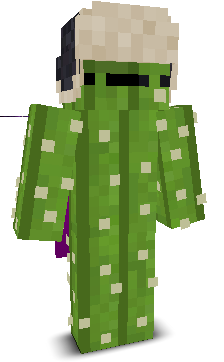 User's Minecraft appearance